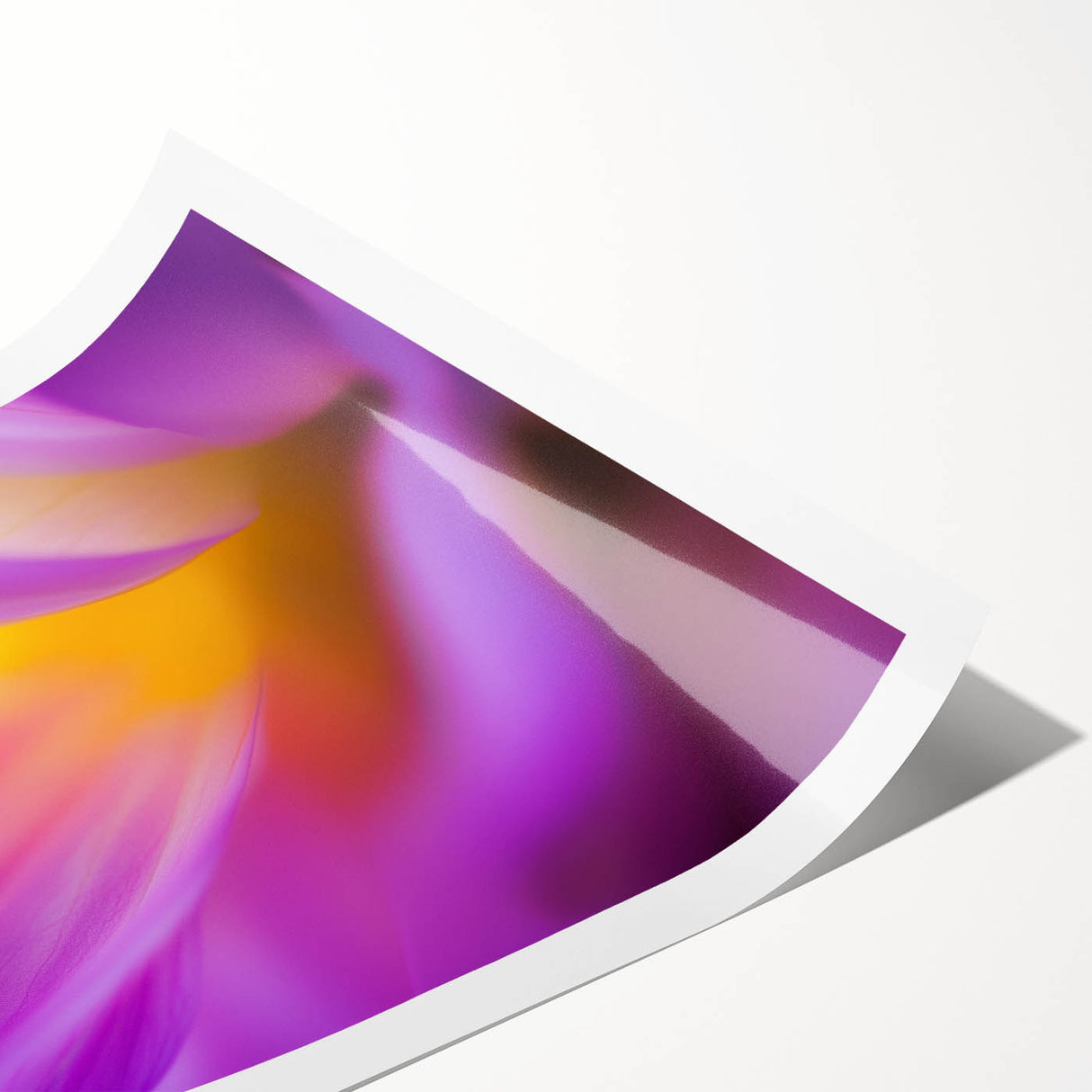 Radiant Petal Pulse – Abstract Floral Glow in Fluid Color Motion