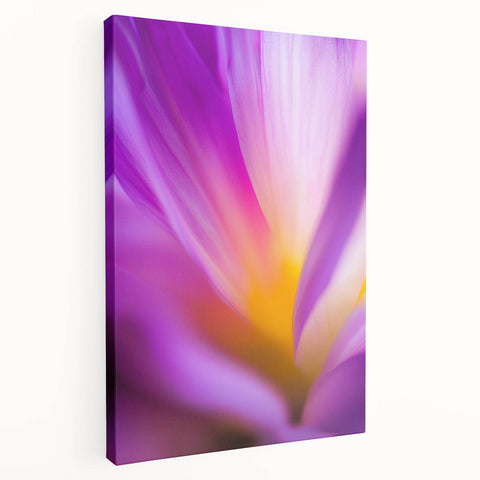 Radiant Petal Pulse – Abstract Floral Glow in Fluid Color Motion