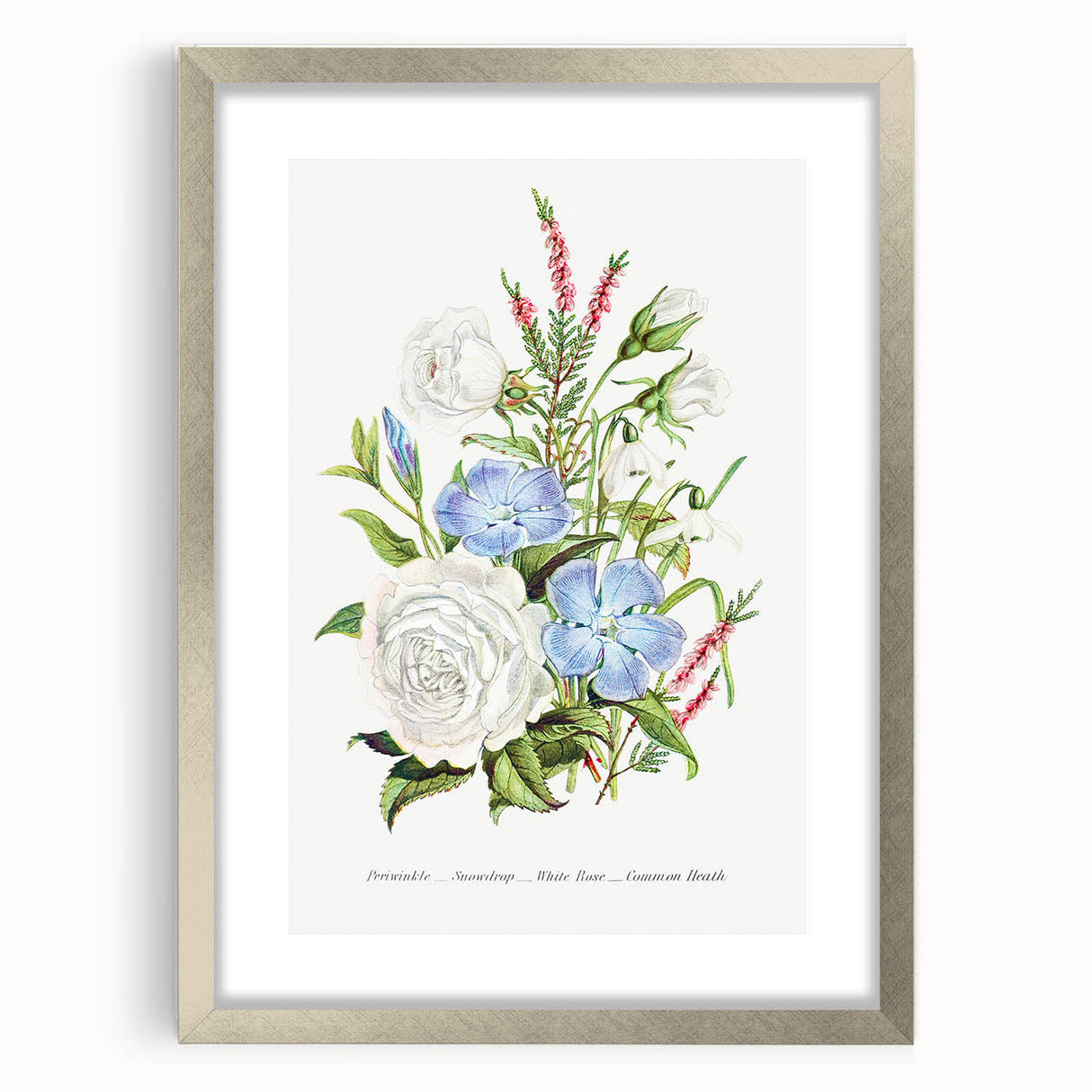 Romanticism Art: Floral Bouquet Illustration Canvas Print