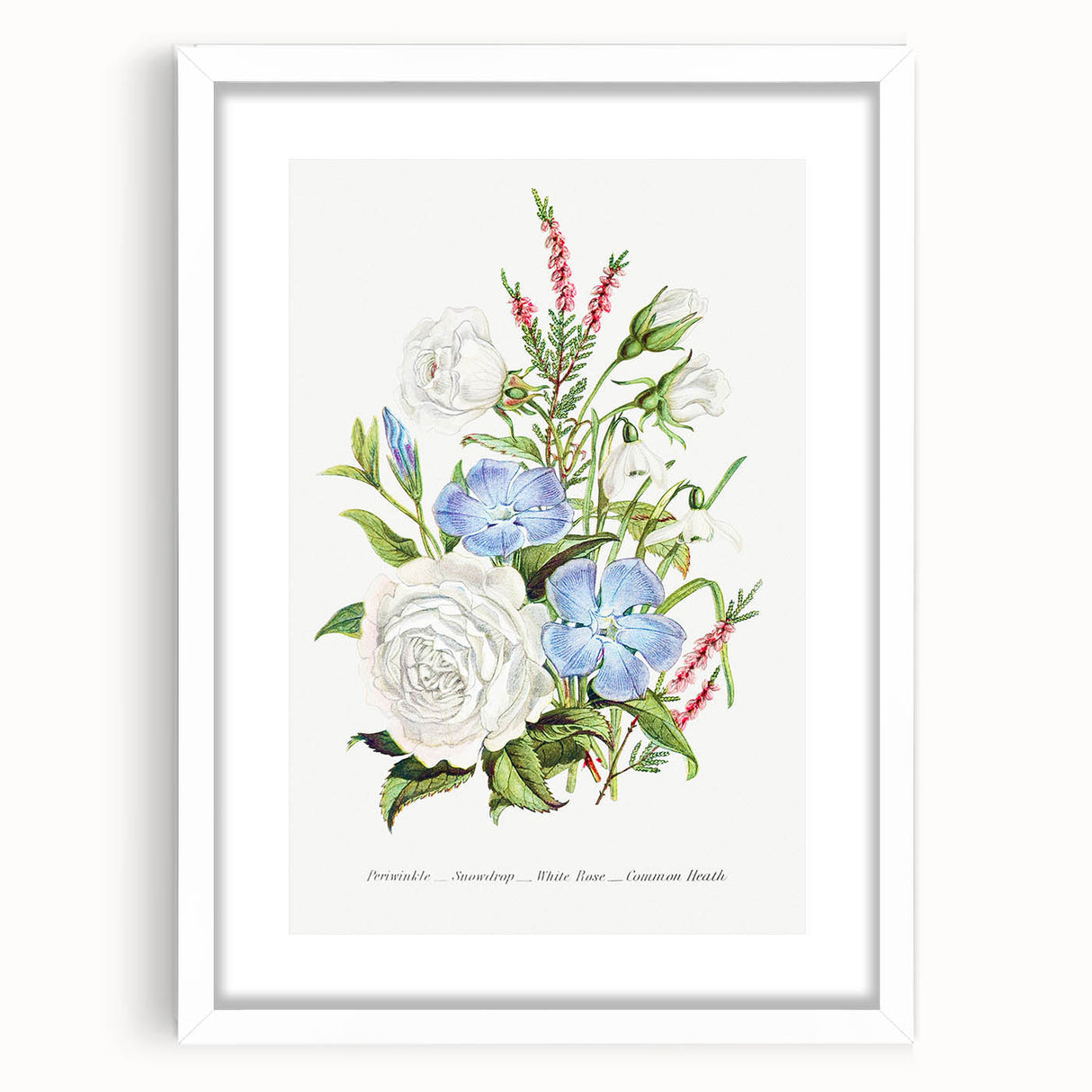 Romanticism Art: Floral Bouquet Illustration Canvas Print