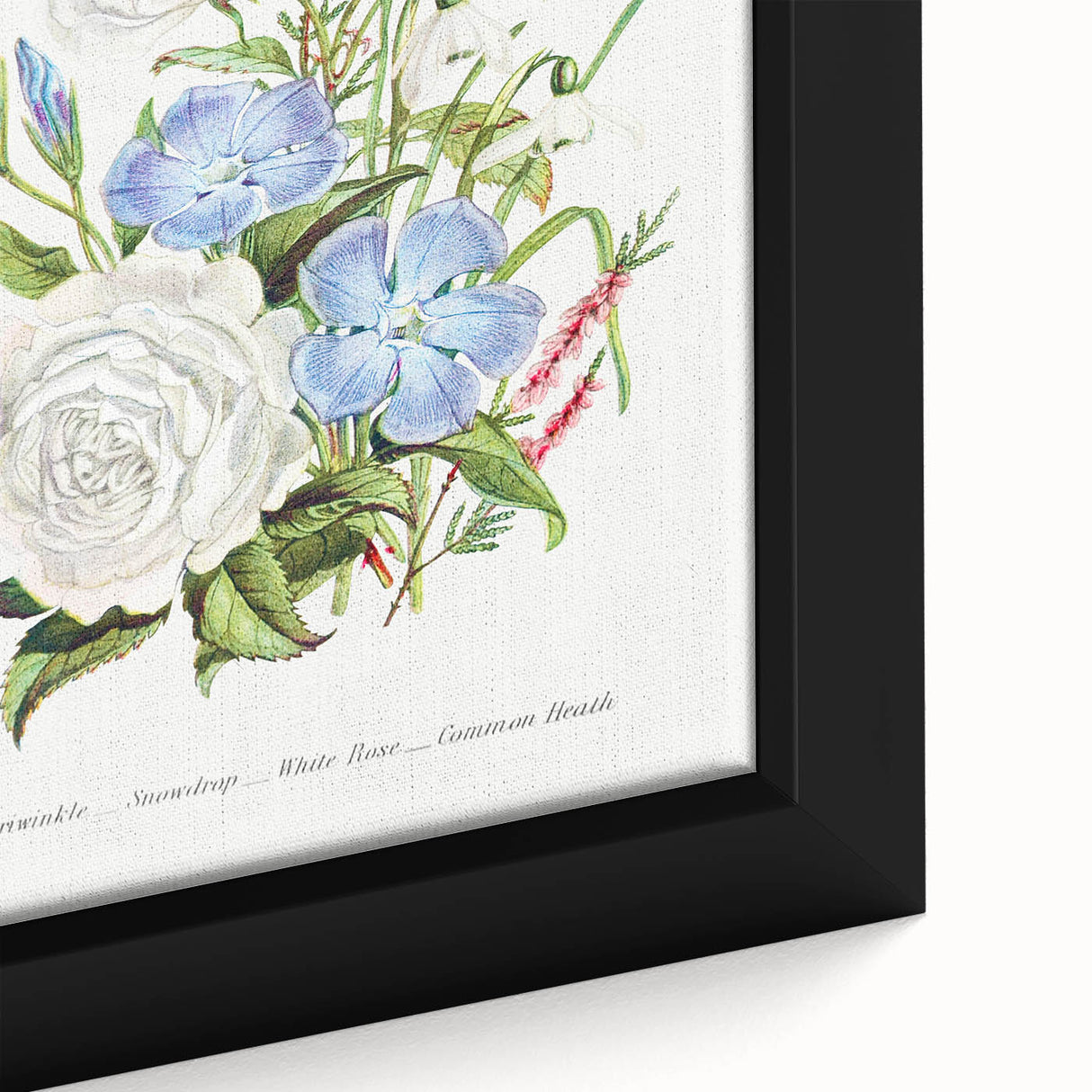 Romanticism Art: Floral Bouquet Illustration Canvas Print
