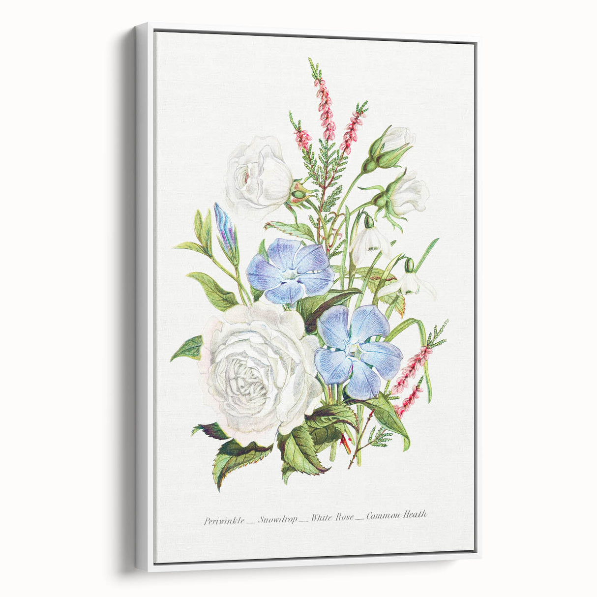 Romanticism Art: Floral Bouquet Illustration Canvas Print