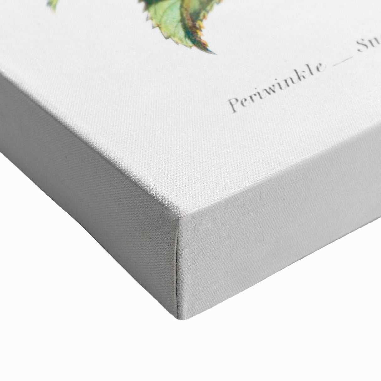 Romanticism Art: Floral Bouquet Illustration Canvas Print