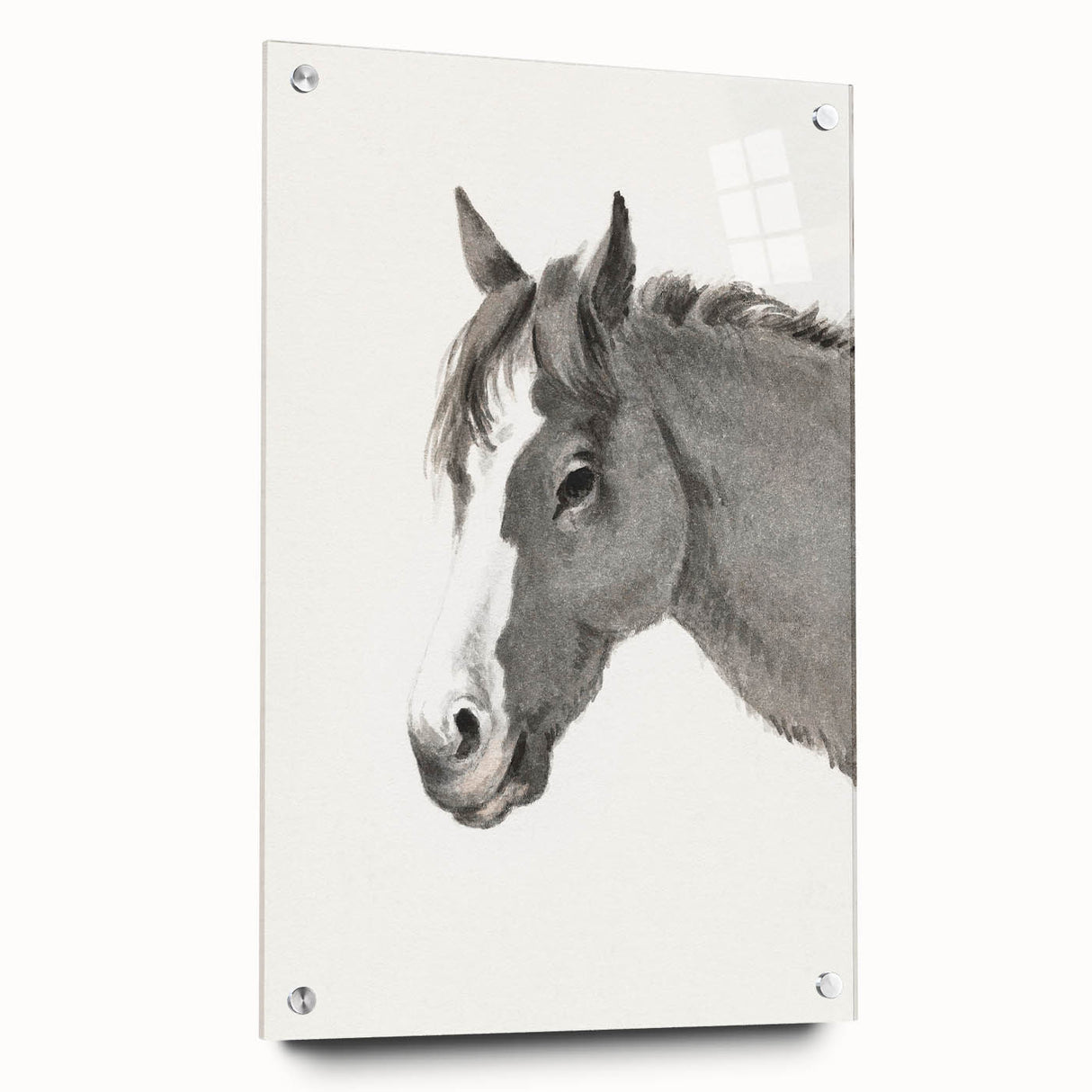 Romanticism Art: Horse Portrait by Jean Bernard Canvas Print