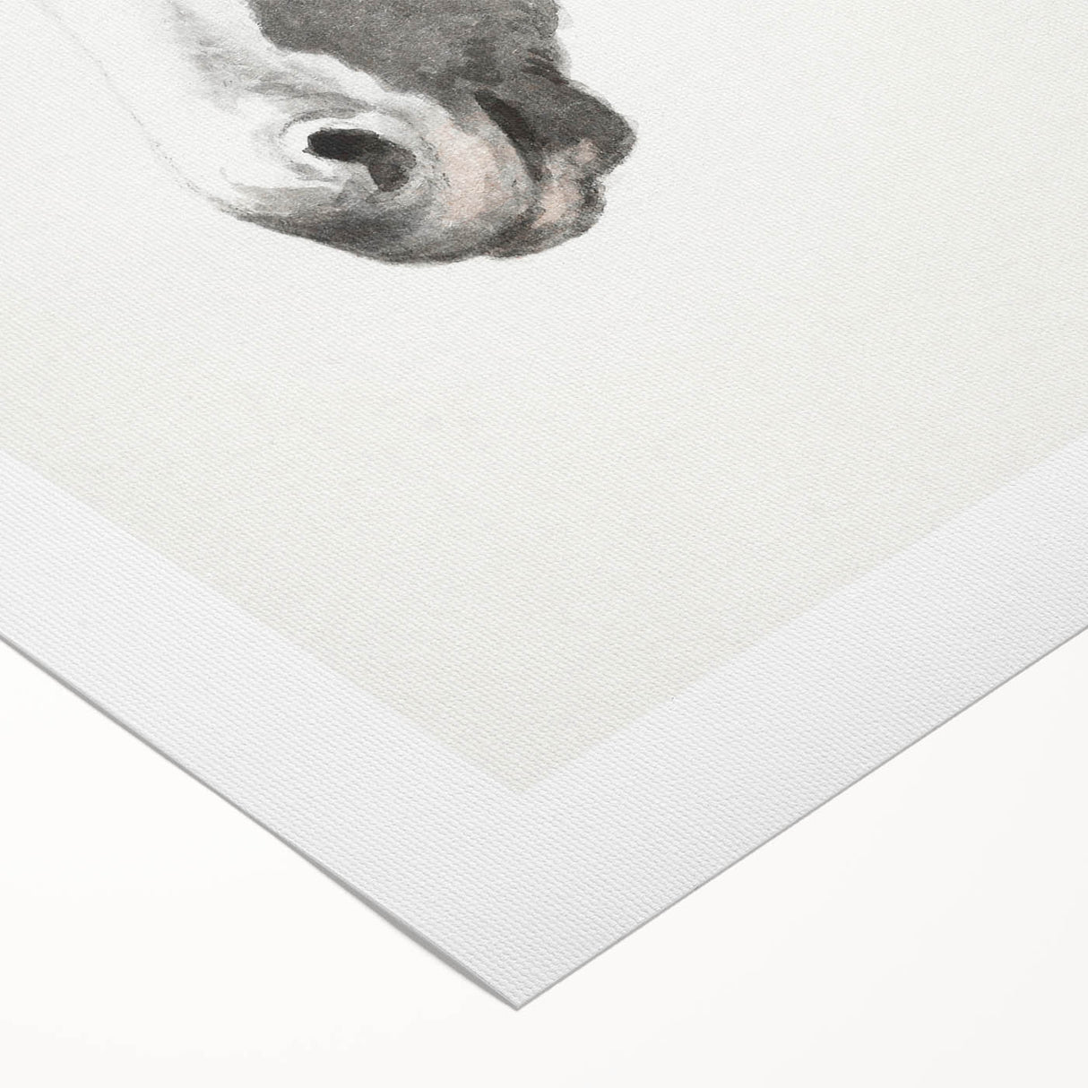 Romanticism Art: Horse Portrait by Jean Bernard Canvas Print