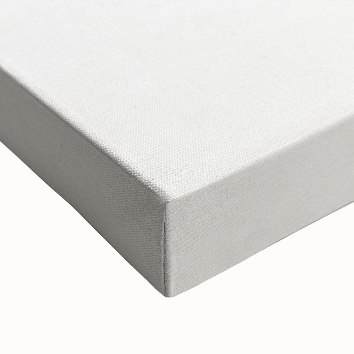 Romanticism Art: Horse Portrait by Jean Bernard Canvas Print