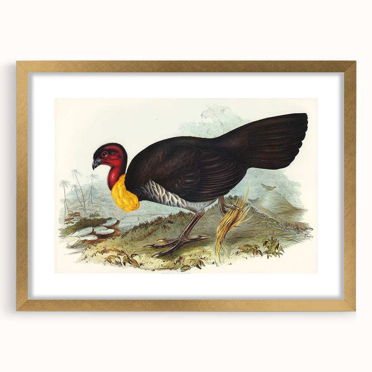 Famous Romantic Era Art: Brush Turkey Romanticism Art on Canvas