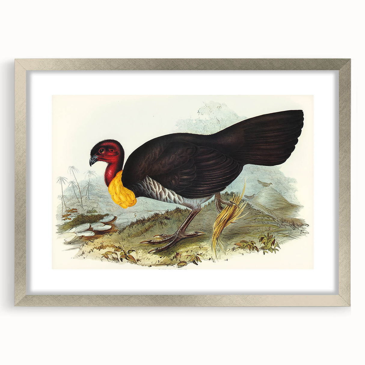 Famous Romantic Era Art: Brush Turkey Romanticism Art on Canvas