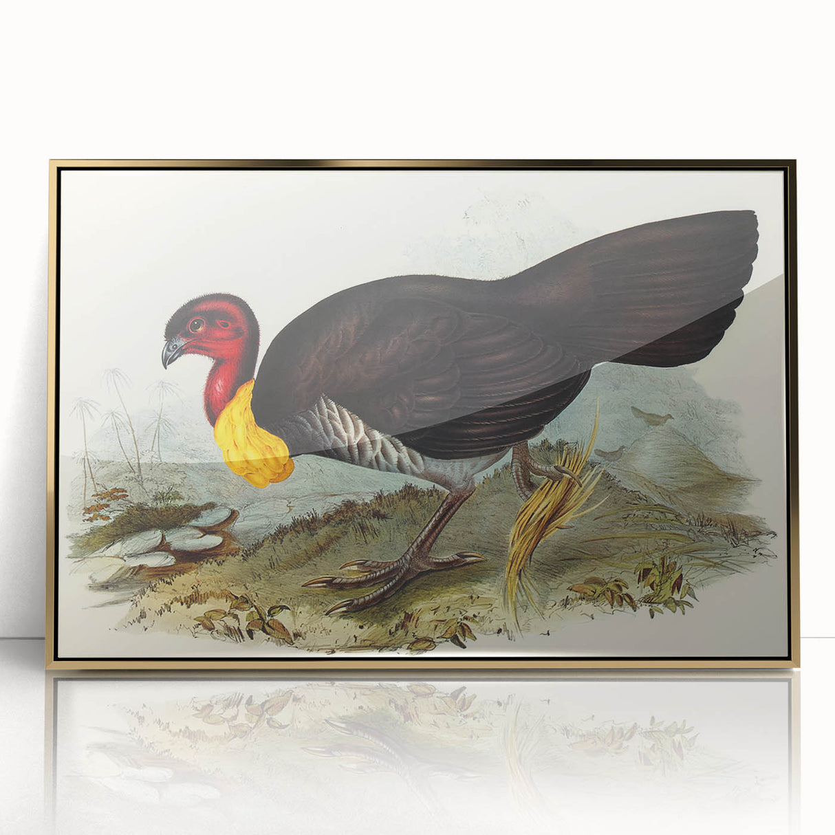 Famous Romantic Era Art: Brush Turkey Romanticism Art on Canvas