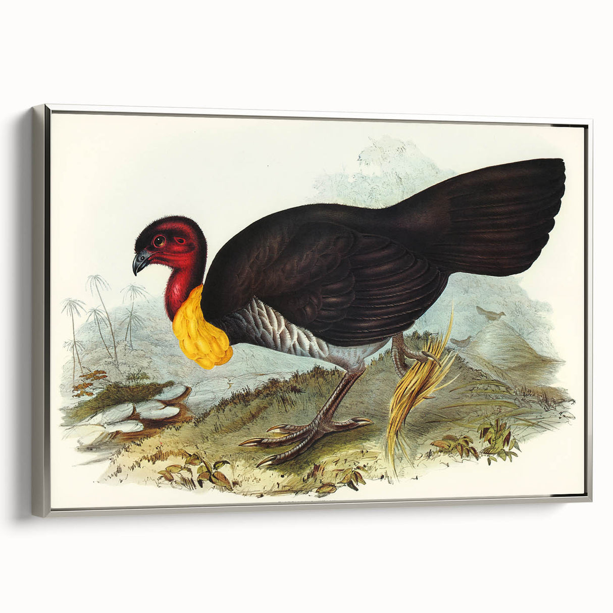 Famous Romantic Era Art: Brush Turkey Romanticism Art on Canvas