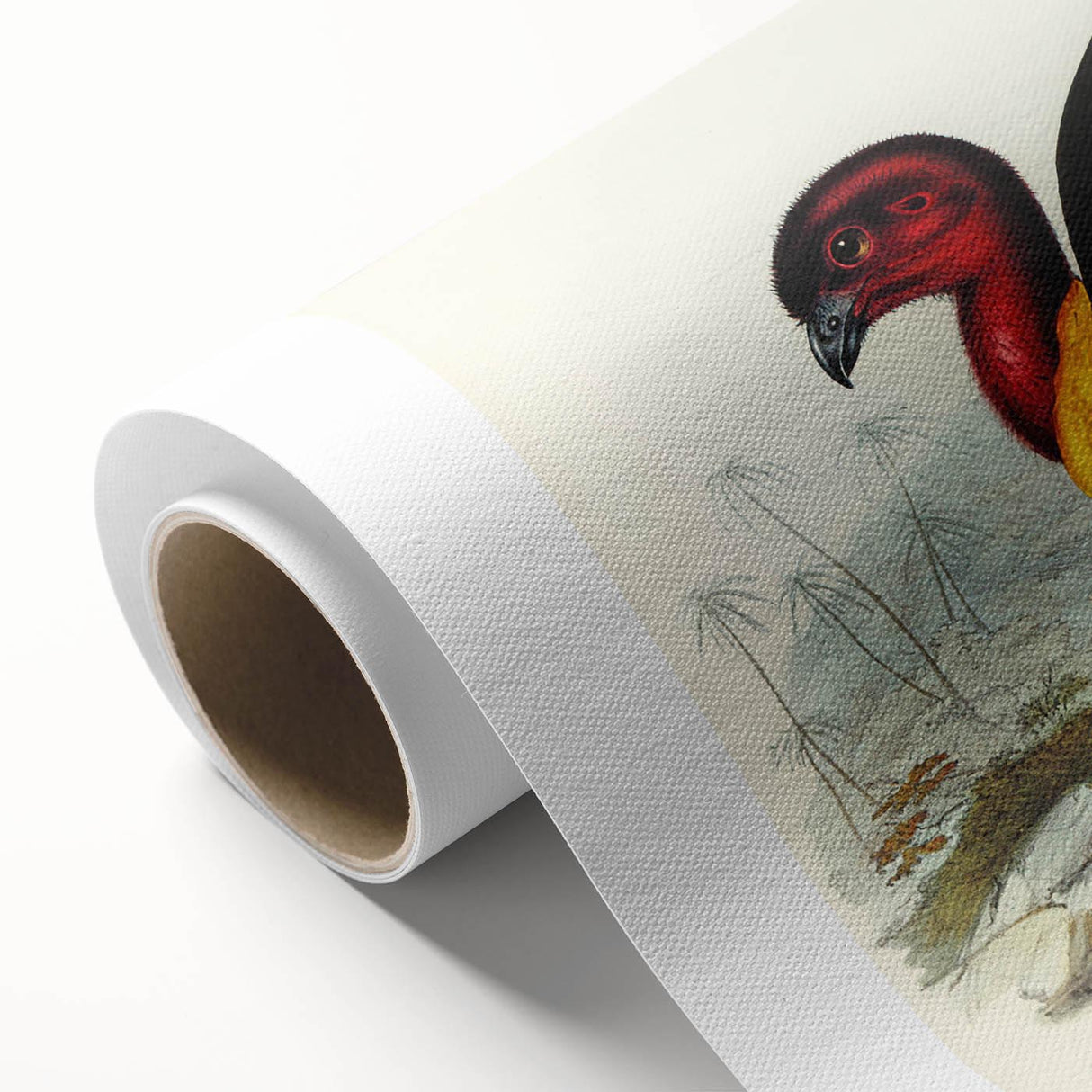 Famous Romantic Era Art: Brush Turkey Romanticism Art on Canvas