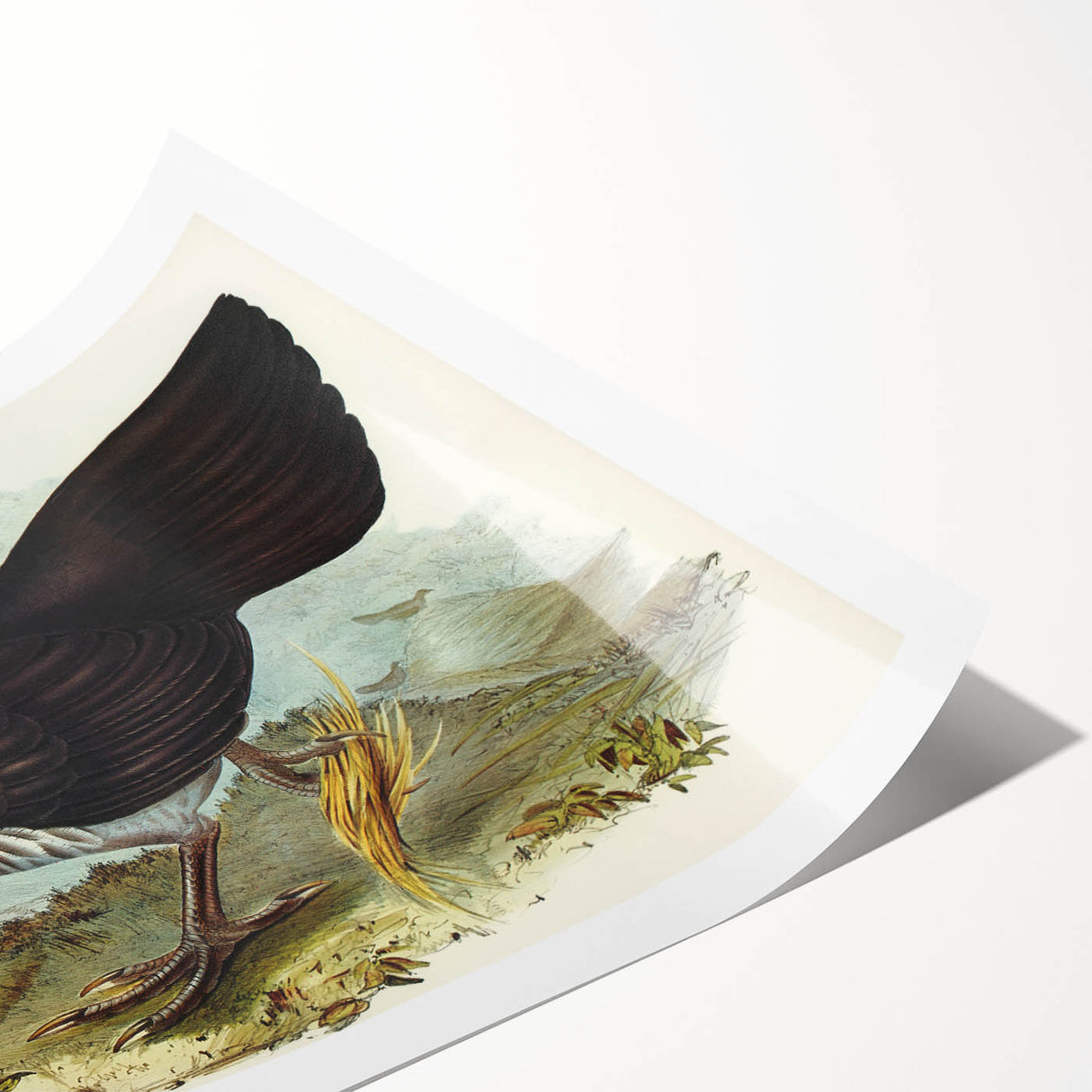Famous Romantic Era Art: Brush Turkey Romanticism Art on Canvas