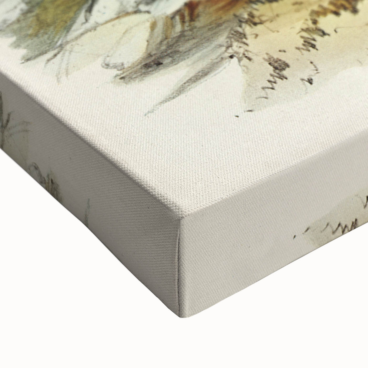 Famous Romantic Era Art: Brush Turkey Romanticism Art on Canvas