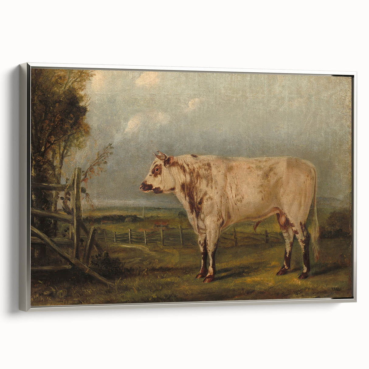 Classic Romantic Paintings: A Young Bull - Historic Pastoral Wall Art