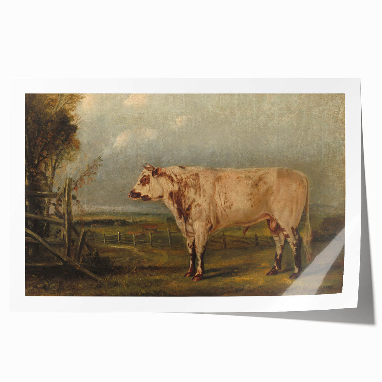 Classic Romantic Paintings: A Young Bull - Historic Pastoral Wall Art