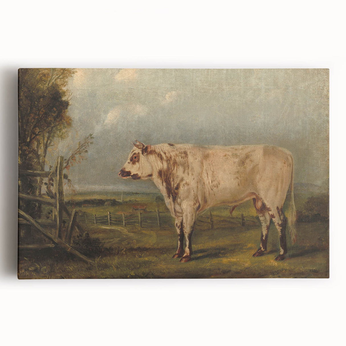 Classic Romantic Paintings: A Young Bull - Historic Pastoral Wall Art