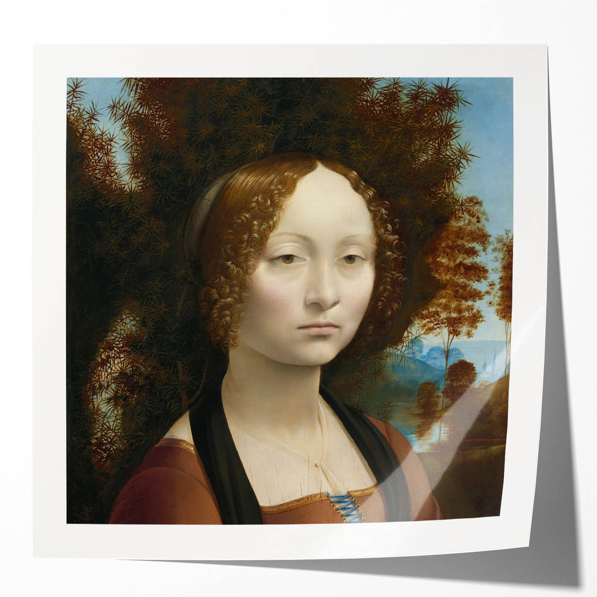 Ginevra de’ Benci by Leonardo da Vinci - Renaissance Art Print