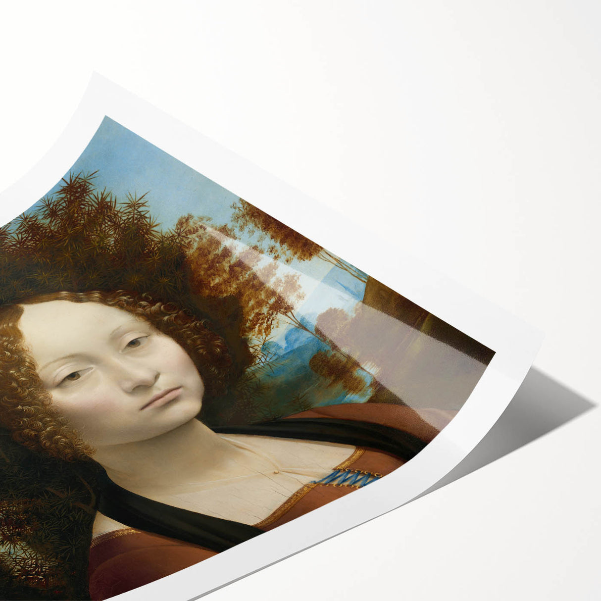 Ginevra de’ Benci by Leonardo da Vinci - Renaissance Art Print