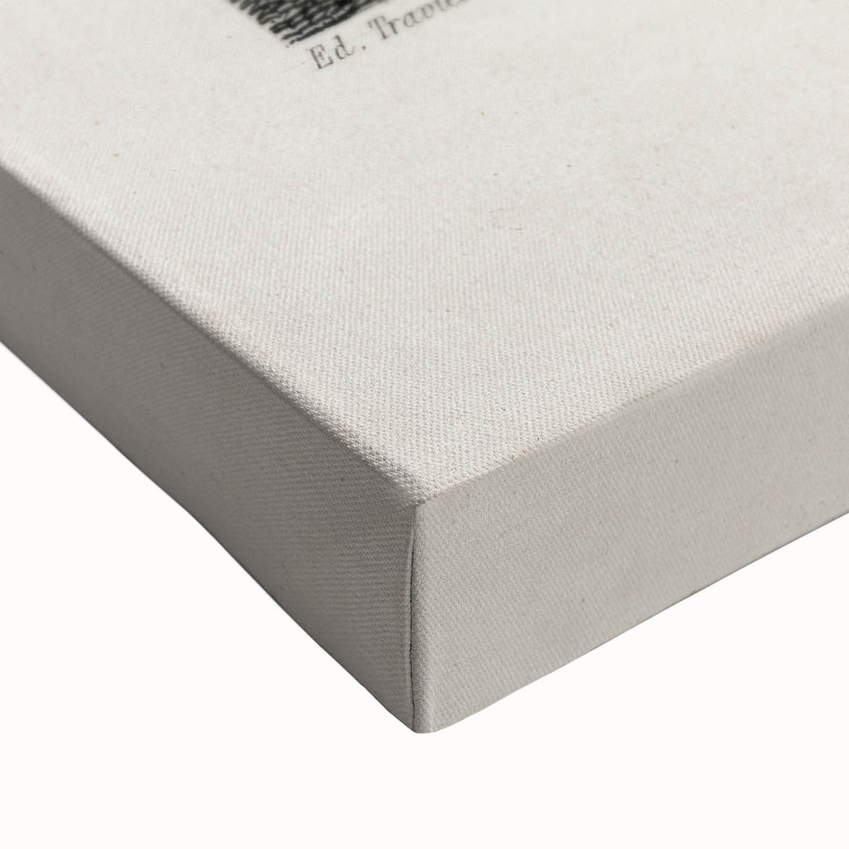 Historic Romantic Art: Camel Illustration - Cultural Romantic Wall Art