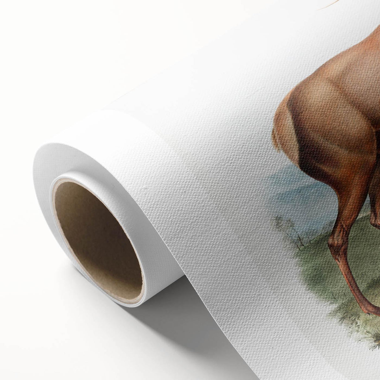 Romantic Art Prints: American Elk - Historic Wildlife Illustration