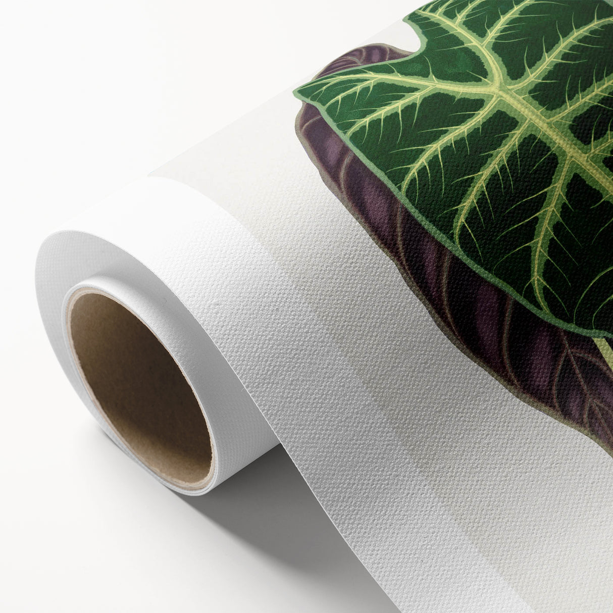 Romanticism Art: Alocasia Leaf Botanical Illustration Canvas Print