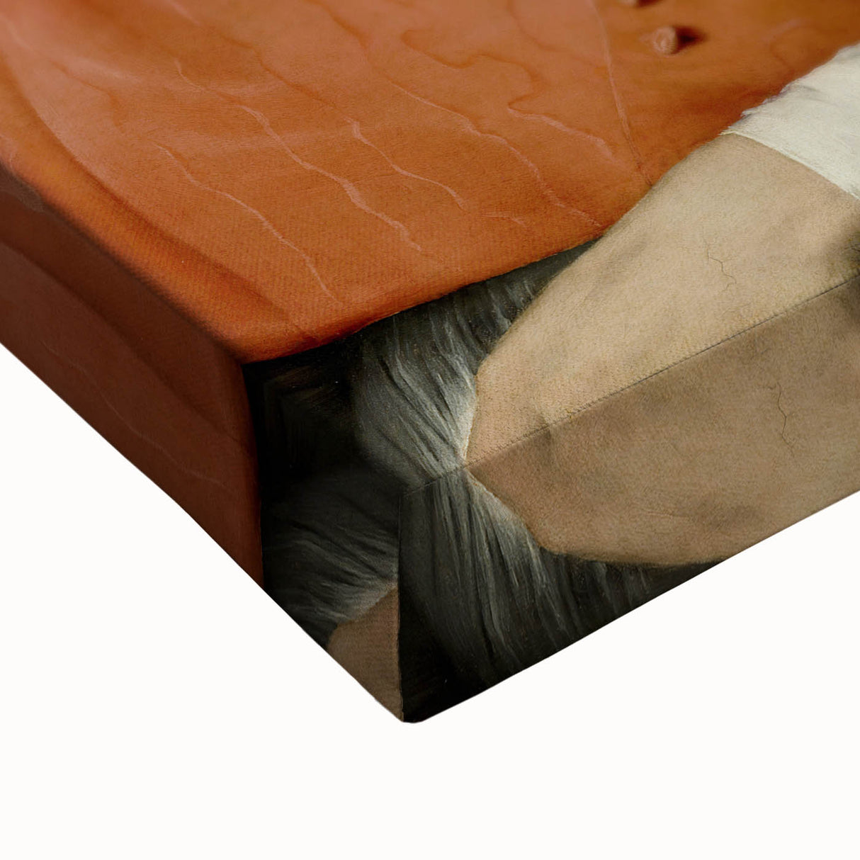 Portrait of a Cardinal by Raphael - Renaissance Art Print