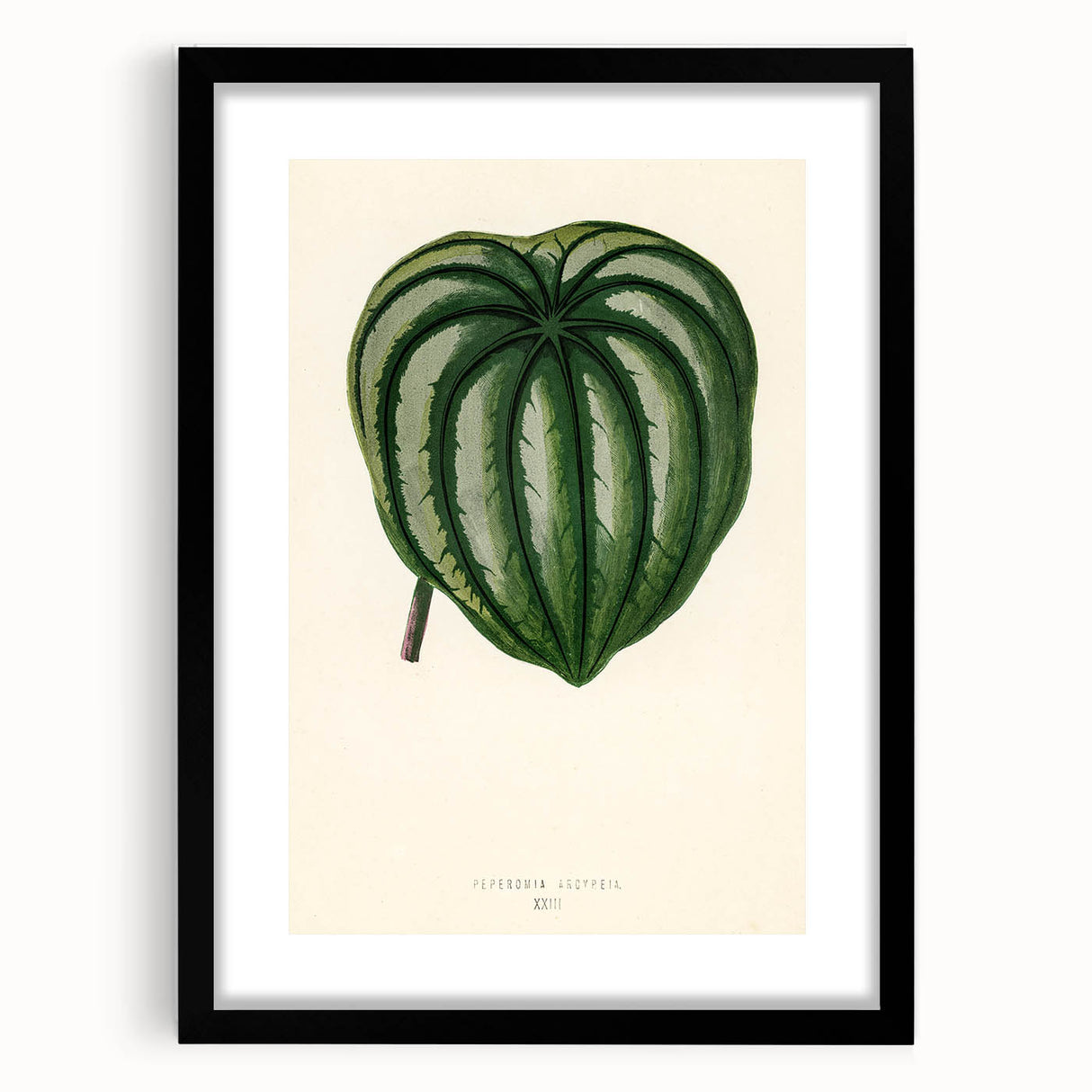 Romanticism Art - Historical Romanticism Canvas of Nature's Beauty