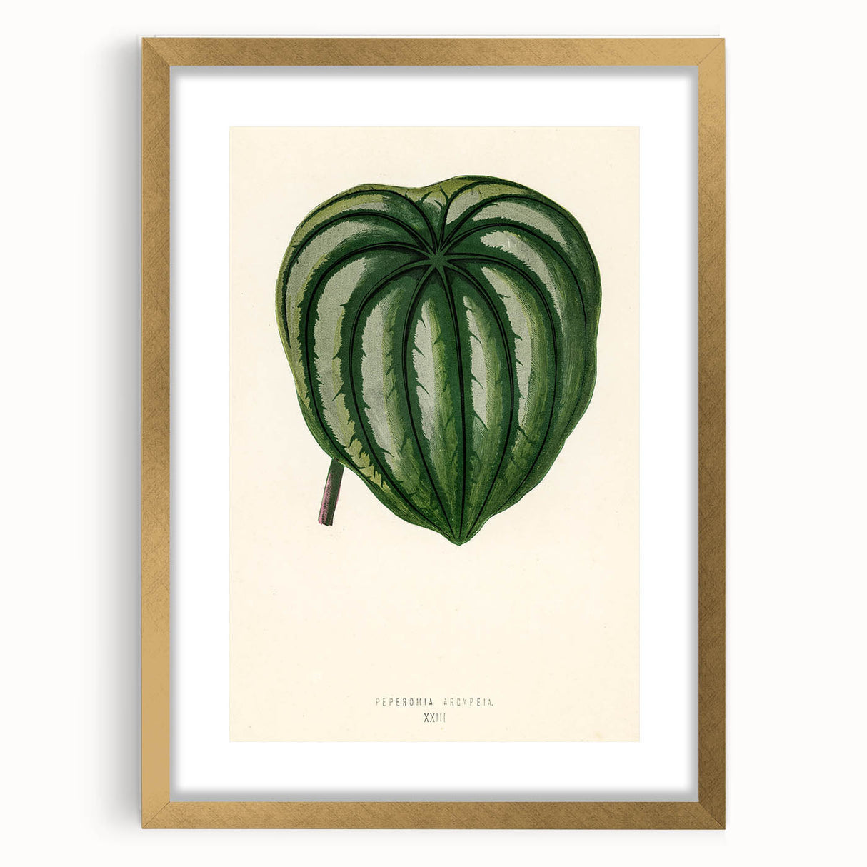 Romanticism Art - Historical Romanticism Canvas of Nature's Beauty