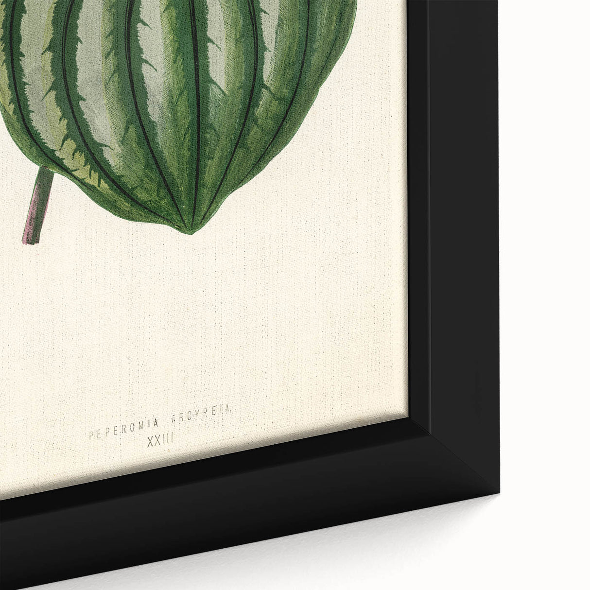 Romanticism Art - Historical Romanticism Canvas of Nature's Beauty