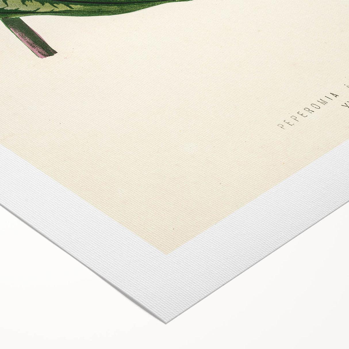 Romanticism Art - Historical Romanticism Canvas of Nature's Beauty