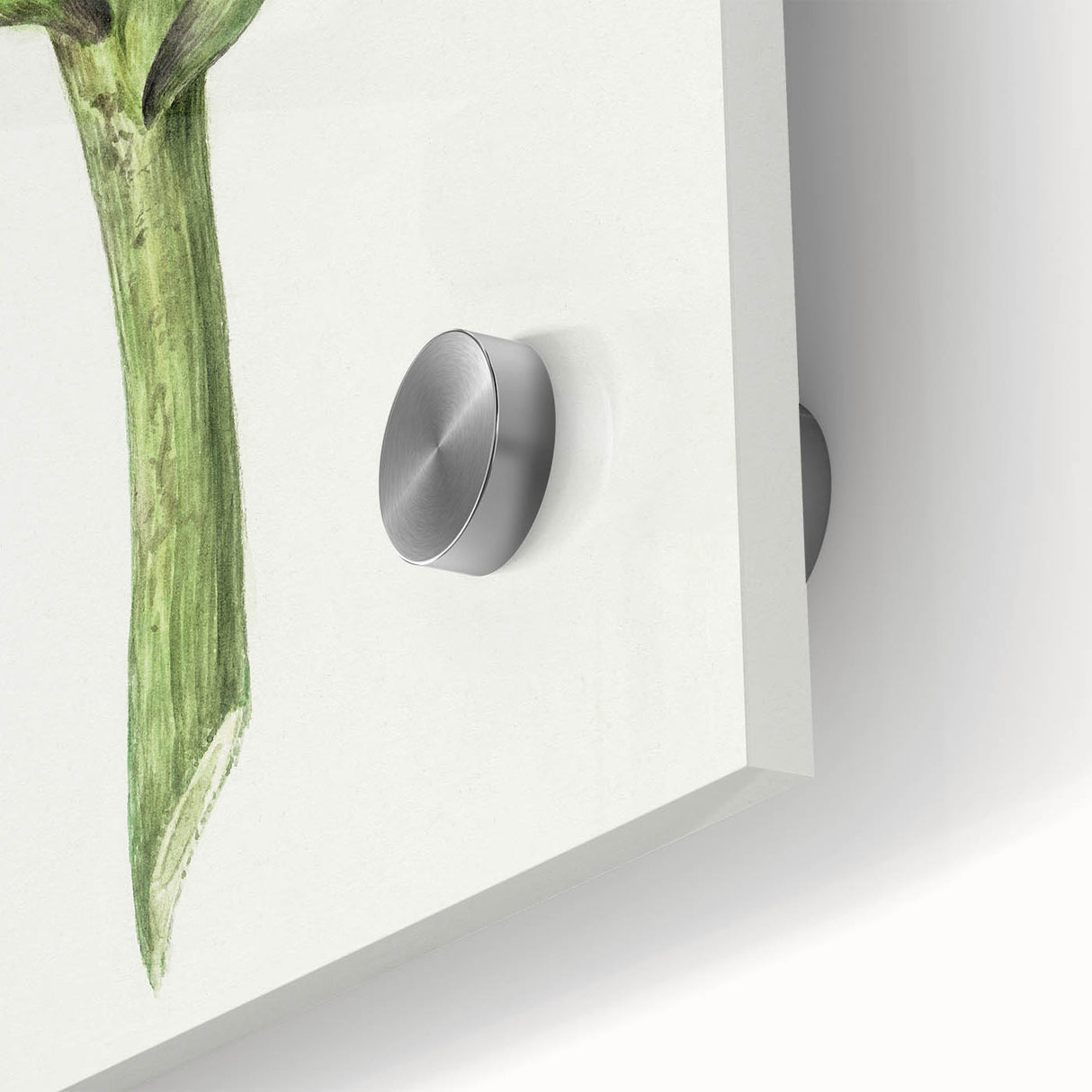 Classic Romantic Artichoke Print - Famous Romantic Era Wall Art