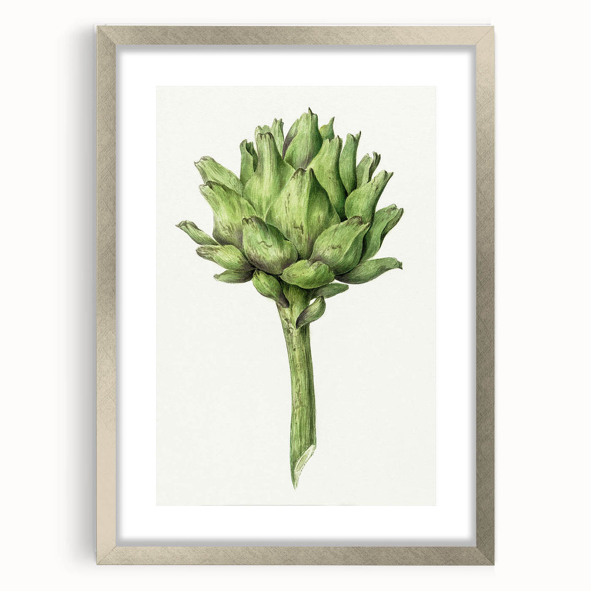 Classic Romantic Artichoke Print - Famous Romantic Era Wall Art