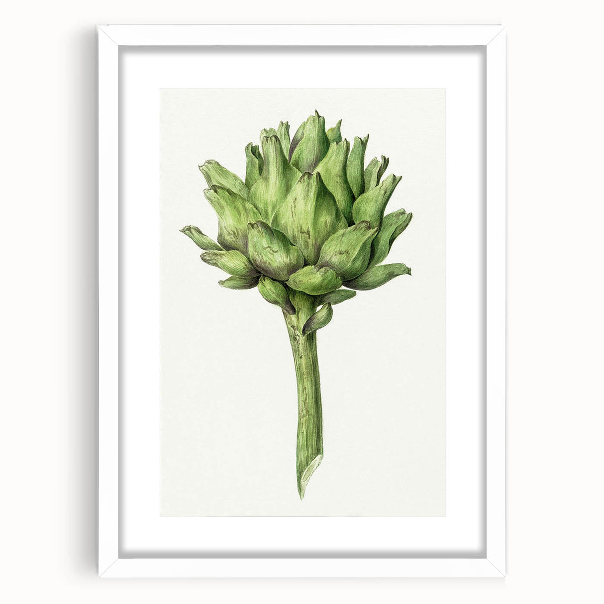 Classic Romantic Artichoke Print - Famous Romantic Era Wall Art