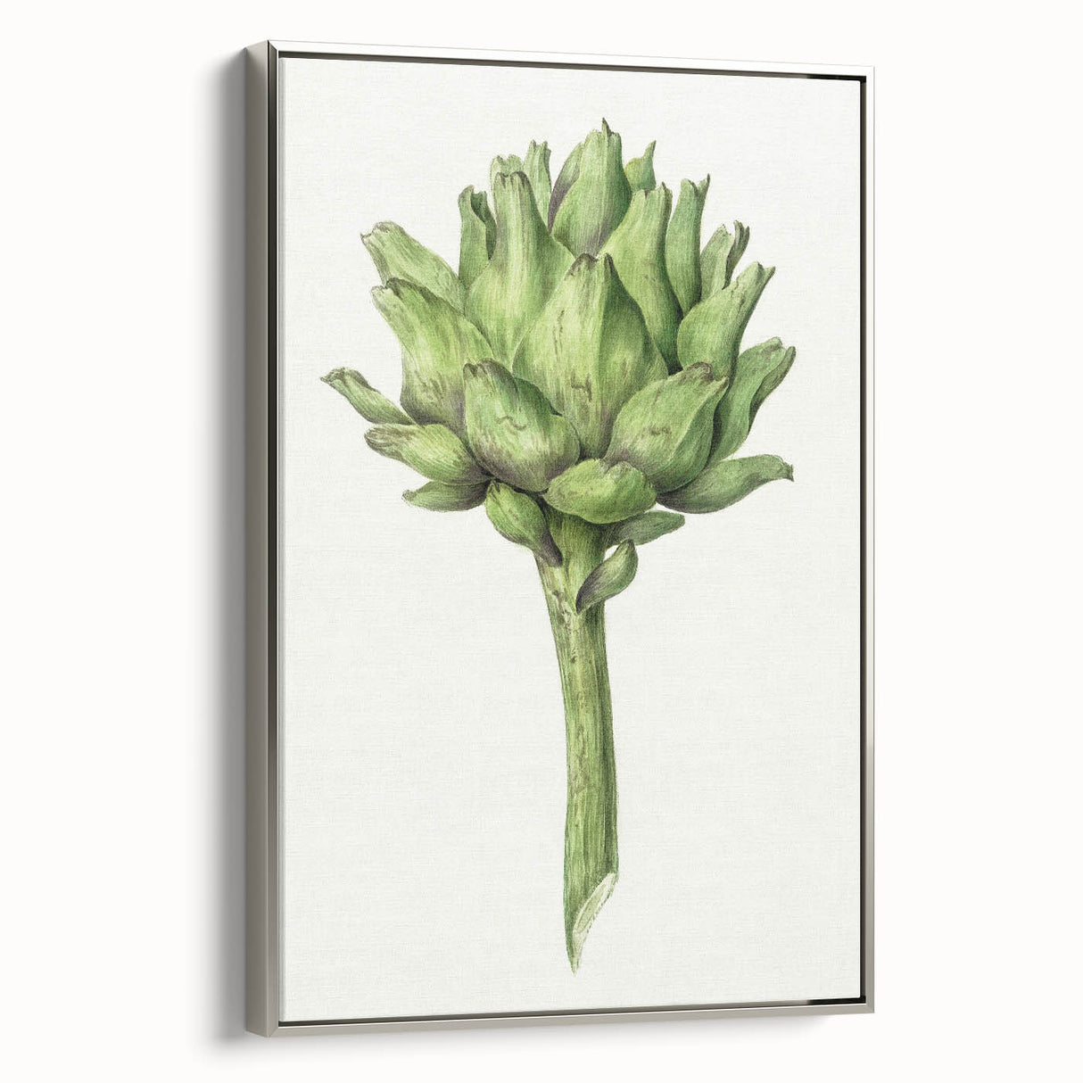 Classic Romantic Artichoke Print - Famous Romantic Era Wall Art
