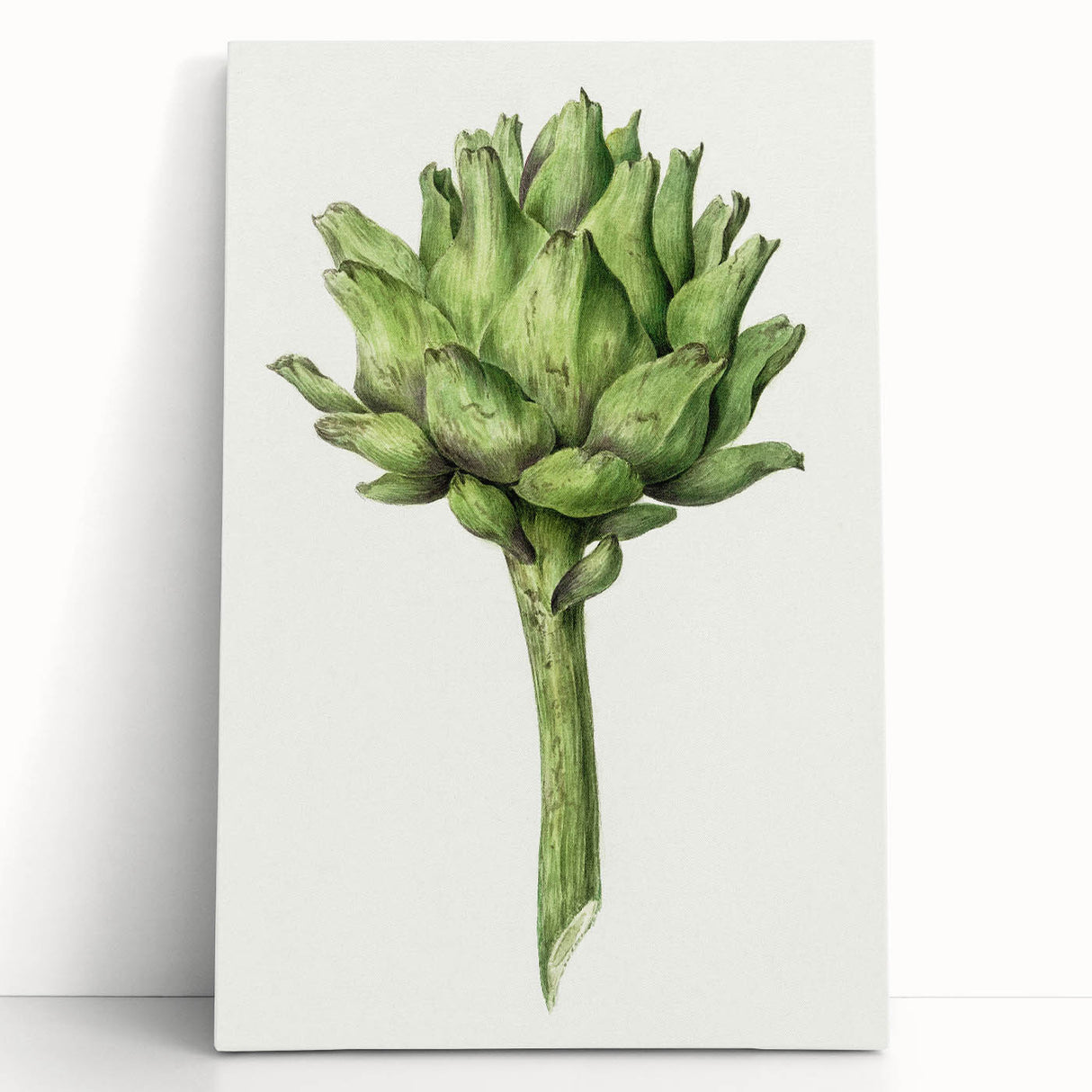 Classic Romantic Artichoke Print - Famous Romantic Era Wall Art