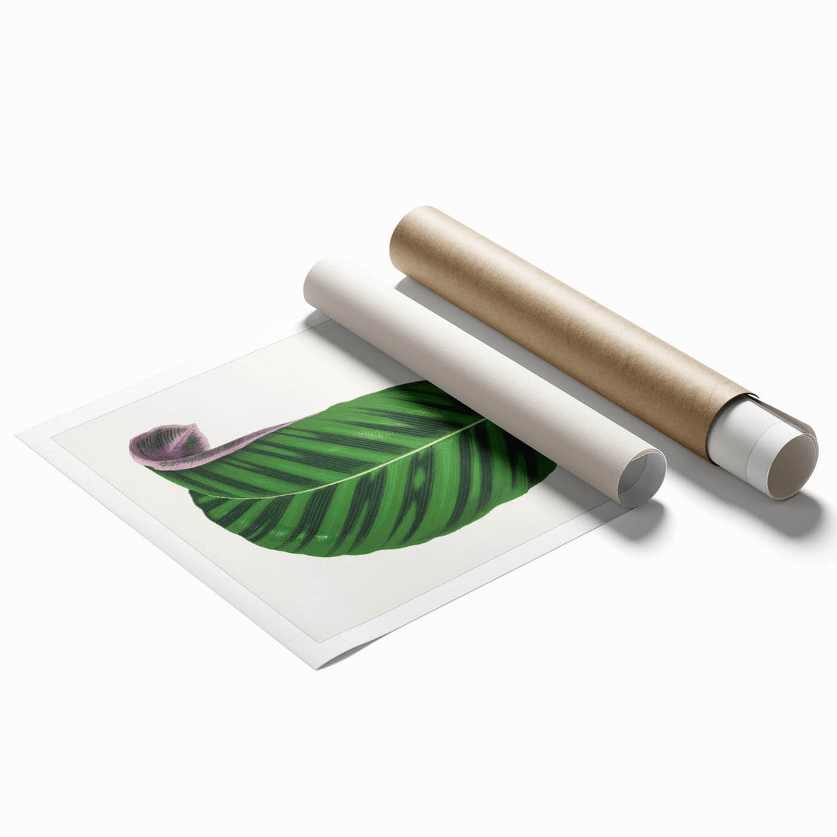 Romantic Calathea Zebrina Leaf - Historical Romanticism Canvas