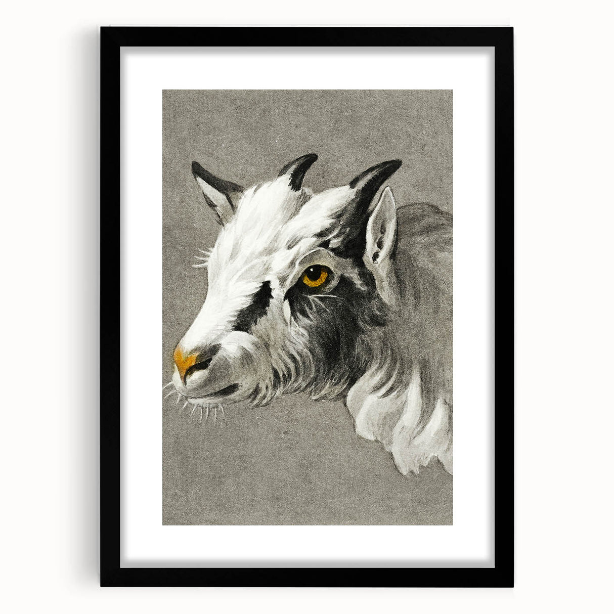 Romantic Goat Portrait by Jean-Bernard - Historical Romantic Canvas