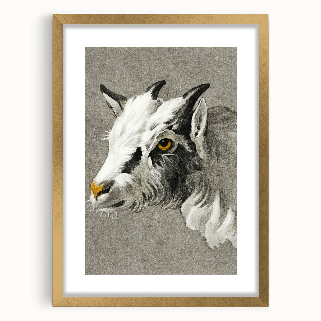 Romantic Goat Portrait by Jean-Bernard - Historical Romantic Canvas