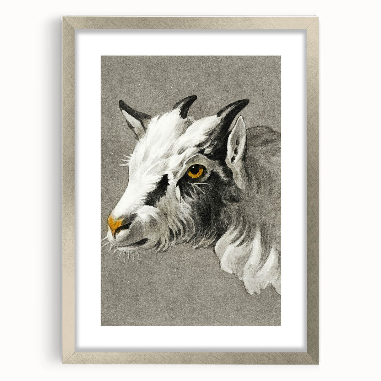 Romantic Goat Portrait by Jean-Bernard - Historical Romantic Canvas