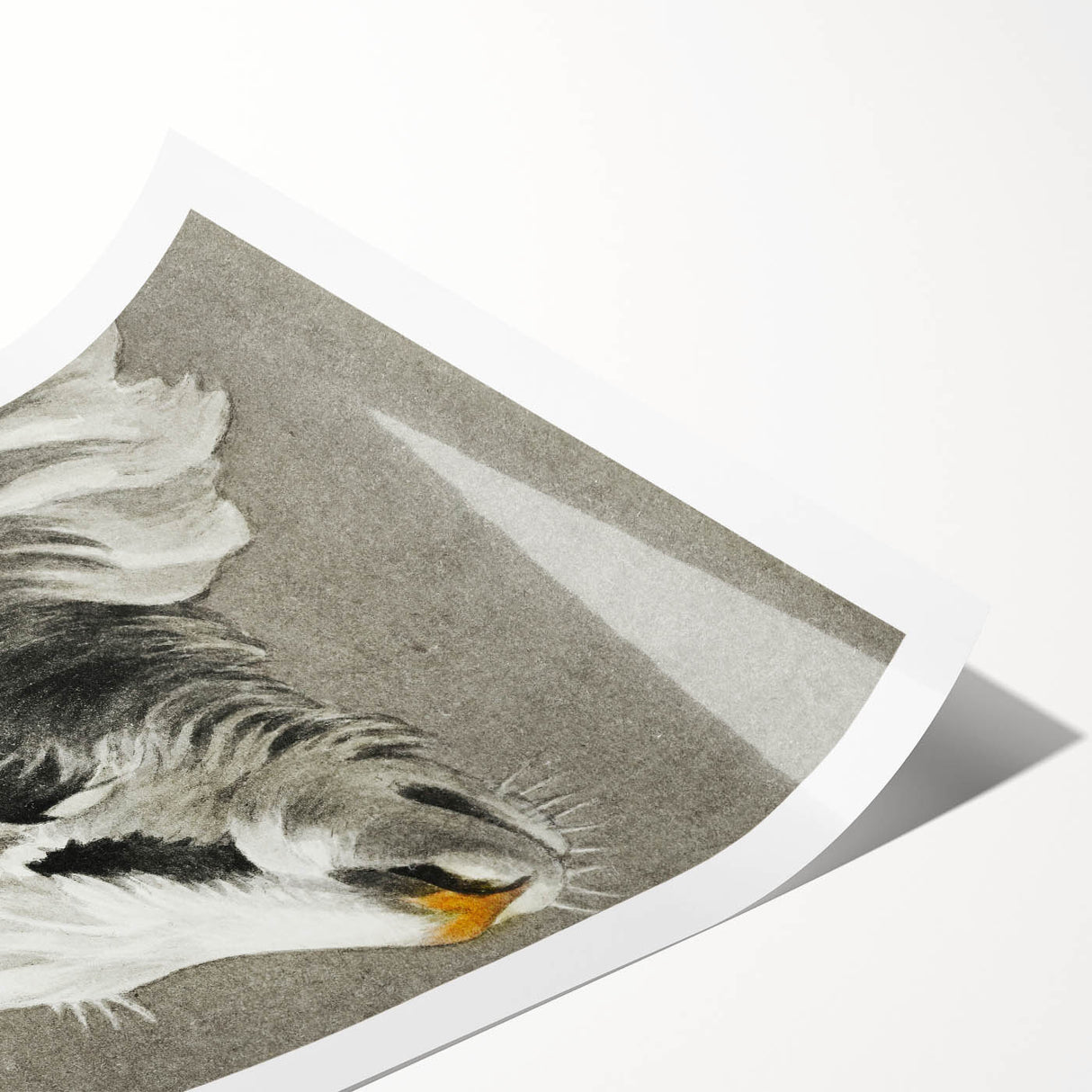 Romantic Goat Portrait by Jean-Bernard - Historical Romantic Canvas