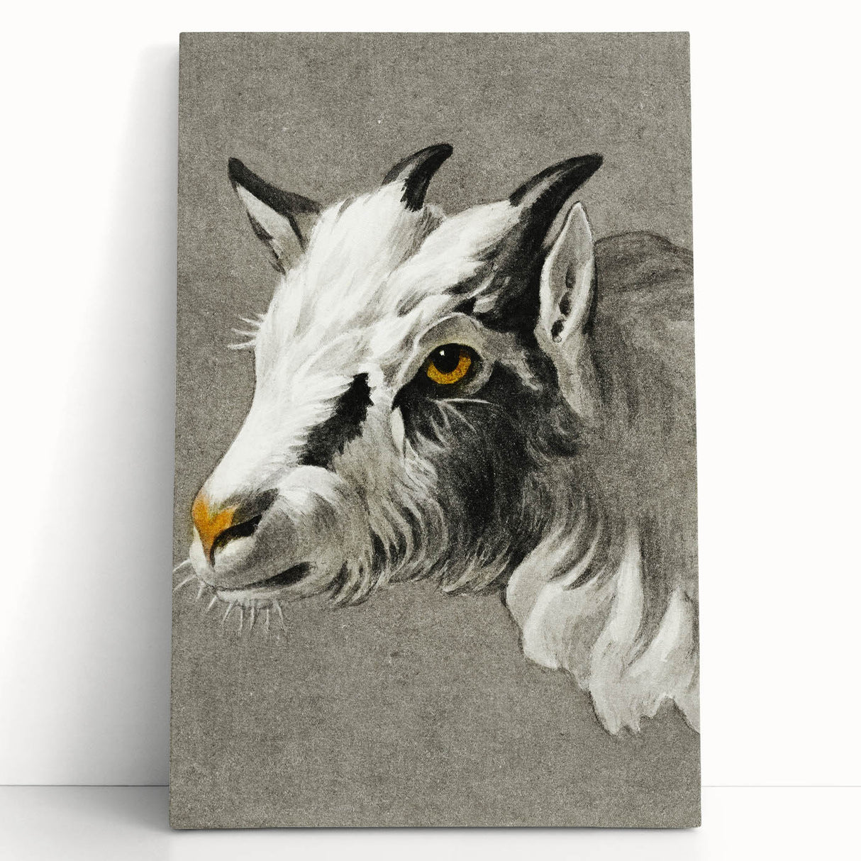 Romantic Goat Portrait by Jean-Bernard - Historical Romantic Canvas
