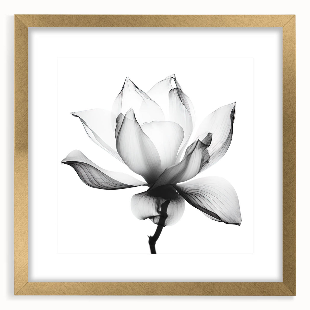 Canvas Art for Dining Area - Black & White Lotus Flower Print