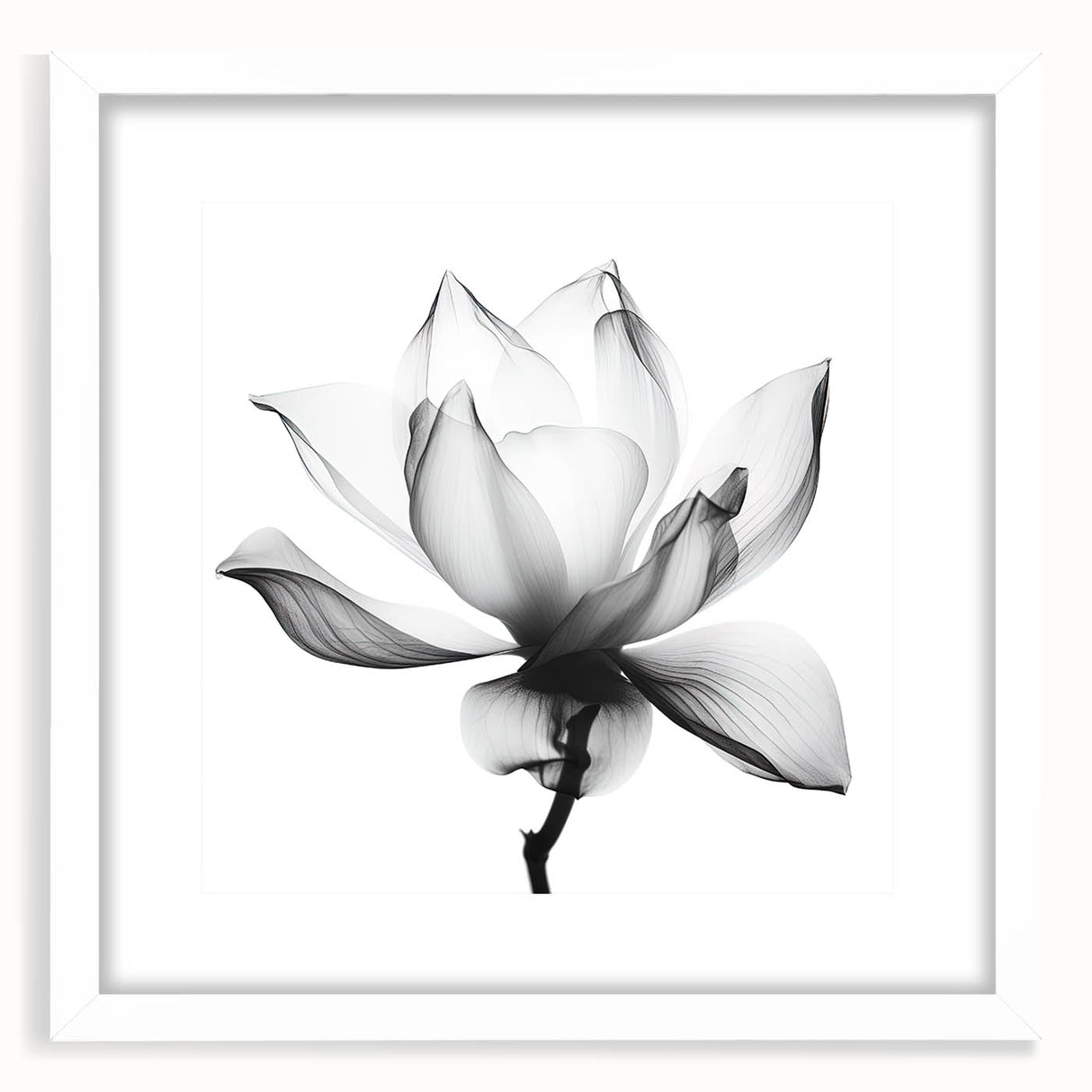 Canvas Art for Dining Area - Black & White Lotus Flower Print