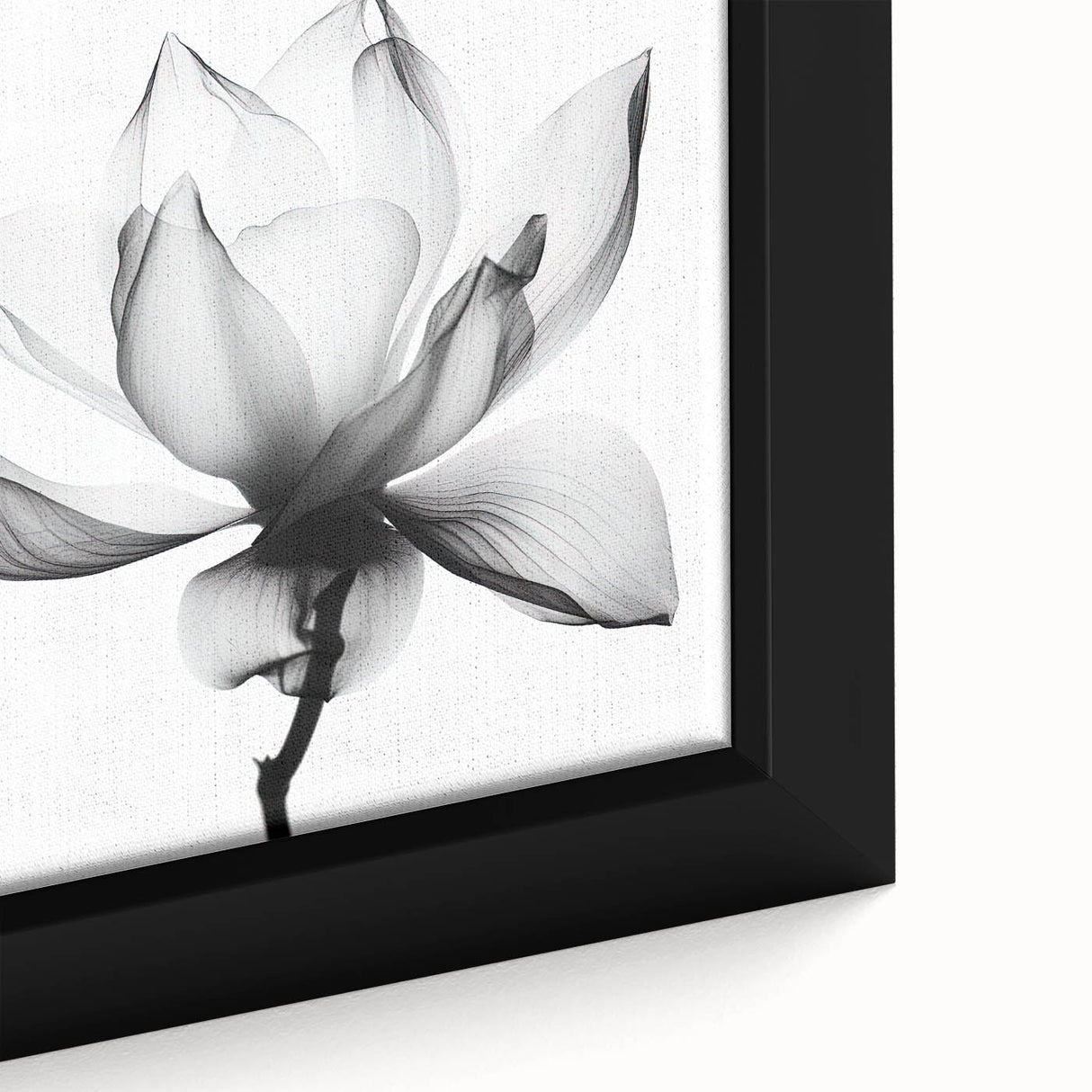 Canvas Art for Dining Area - Black & White Lotus Flower Print
