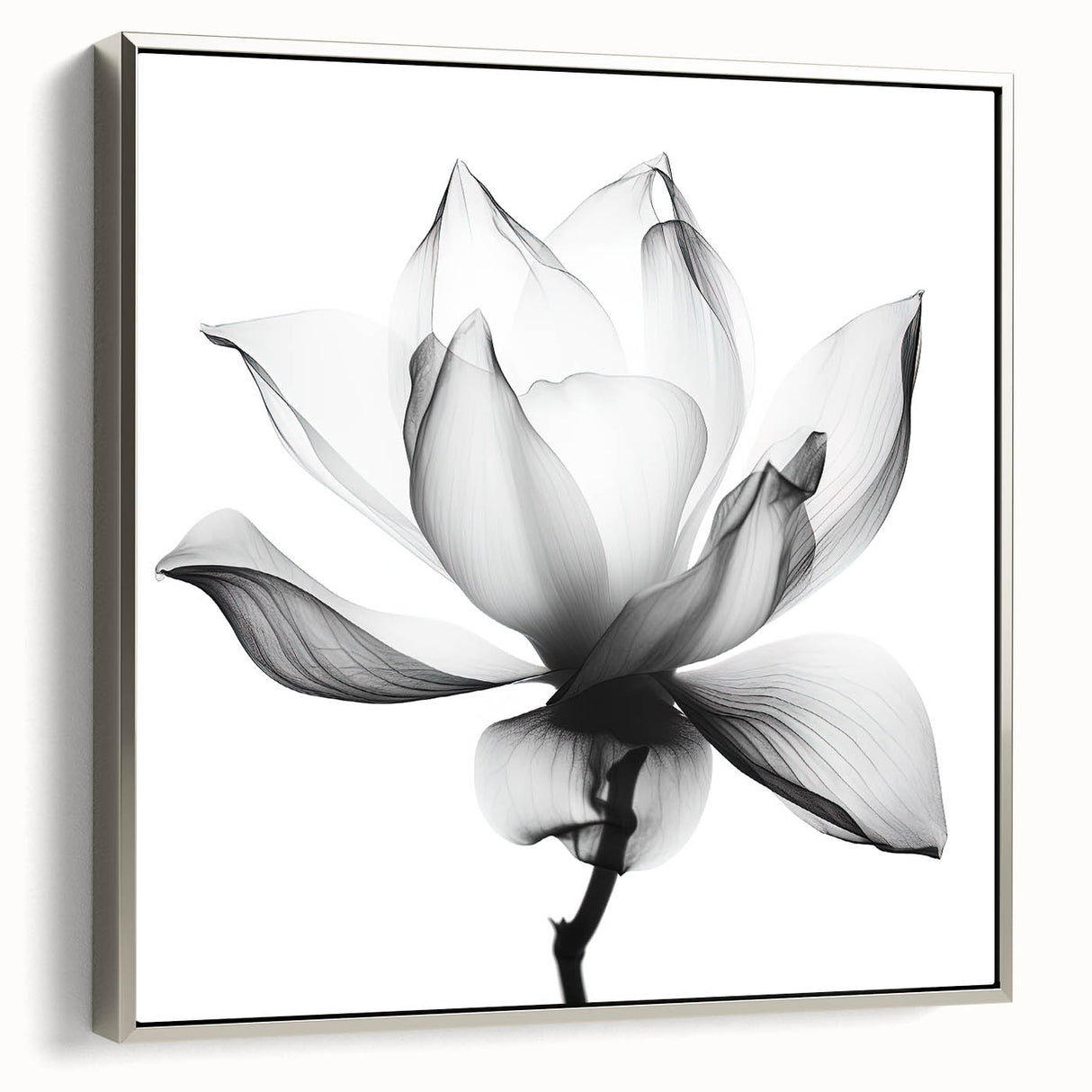 Canvas Art for Dining Area - Black & White Lotus Flower Print