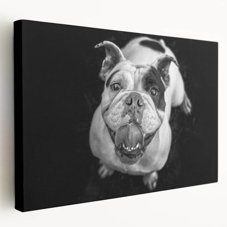 Stretched canvas wall art showcasing a side view of a bulldog design, featuring vibrant colors and detailed textures, perfect for dog lovers and home decor.