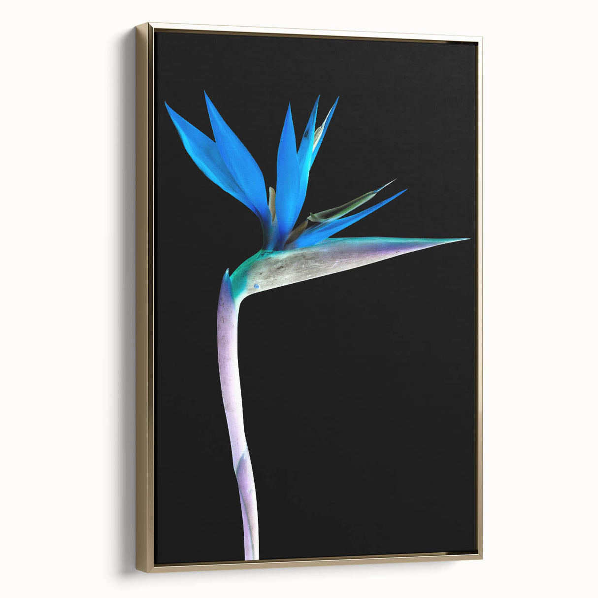Framed wall art featuring a vibrant Bird of Paradise design with botanical elements, set against a gold background, showcasing intricate details and rich colors.