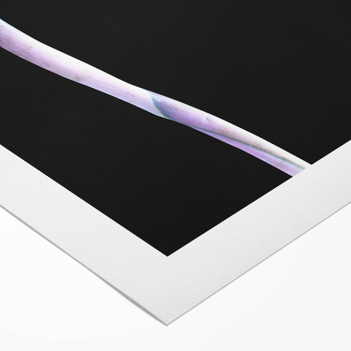 Vibrant wall art featuring a botanical Bird of Paradise design on rolled canvas, showcasing vivid colors and intricate details, ideal for home decor.