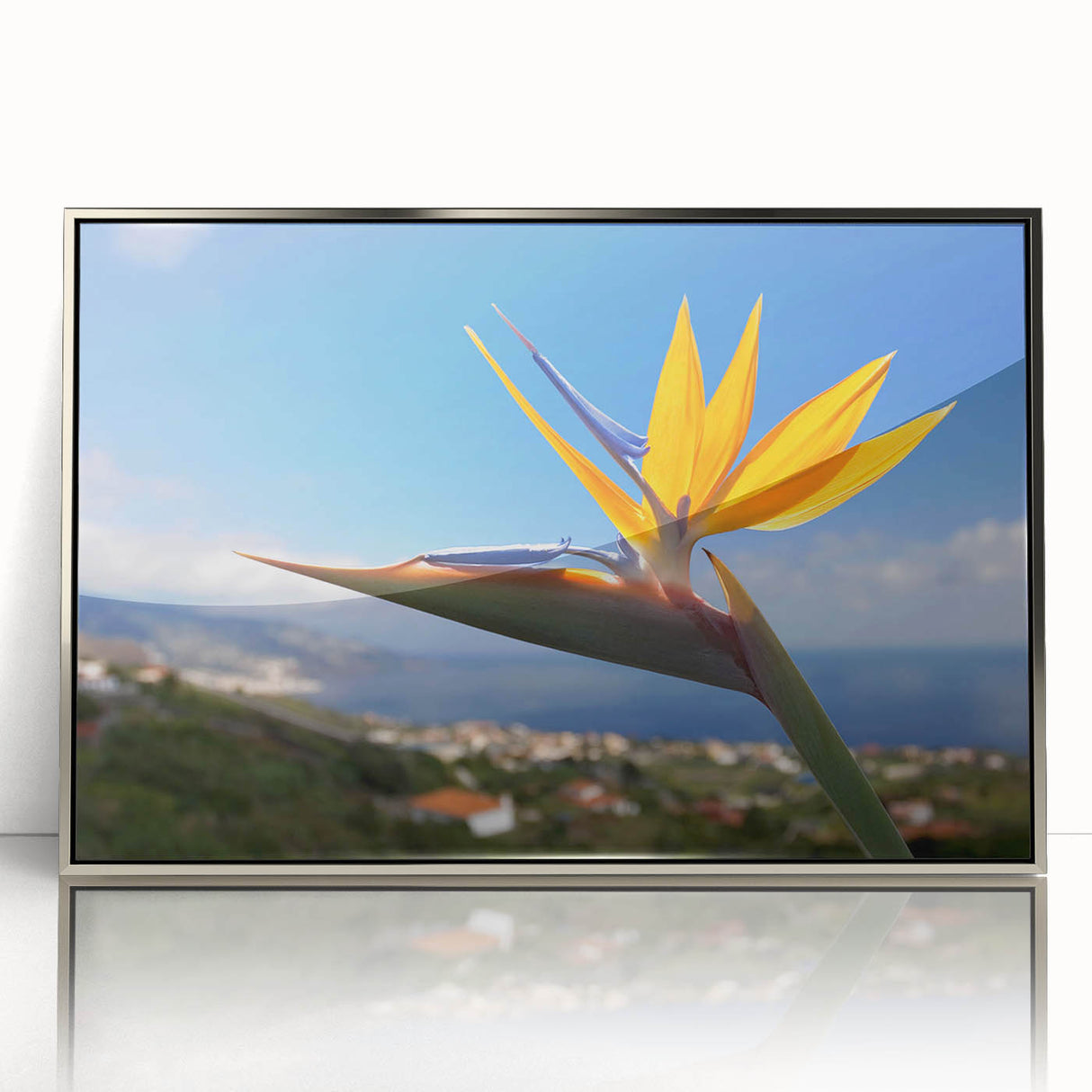 Framed wall art featuring a vibrant Bird of Paradise design with botanical elements, set in a sleek silver frame, perfect for modern home decor.