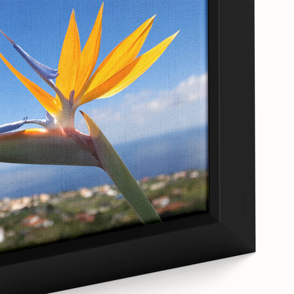 Close-up view of a framed canvas featuring a vibrant Bird of Paradise flower design, showcasing intricate details and bold colors, ideal for botanical-themed decor.